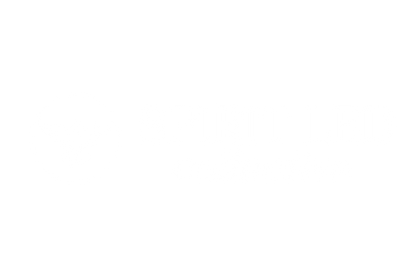 Spirit Led Collective 